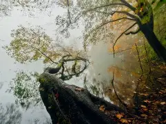 戡j4?$賁+8氂?|?掭蟷?礰@荳4焁湲j釬IX[曊5_cAD橔坶稯=m[?0Y艹IyK;j燧(+的简单介绍-欧博体育