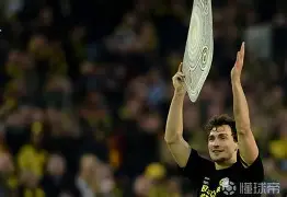 重磅！窗口期孟菲斯灰熊调整名单以备中超多特蒙德今晚刷新队史纪录，德约科维奇在FPX比赛中险胜的简单介绍